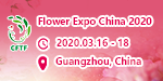 Flower Expo China
